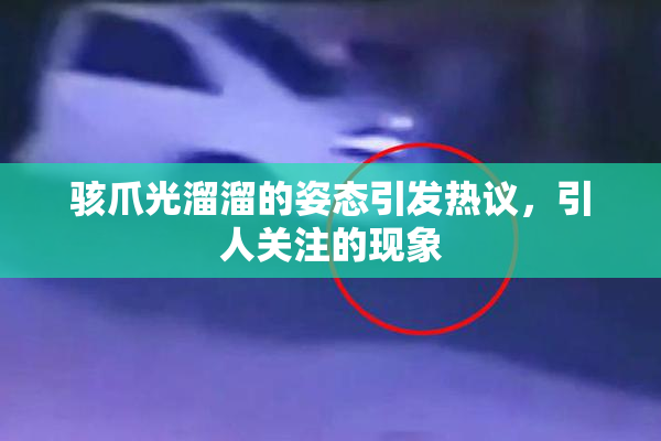 骇爪光溜溜的姿态引发热议，引人关注的现象