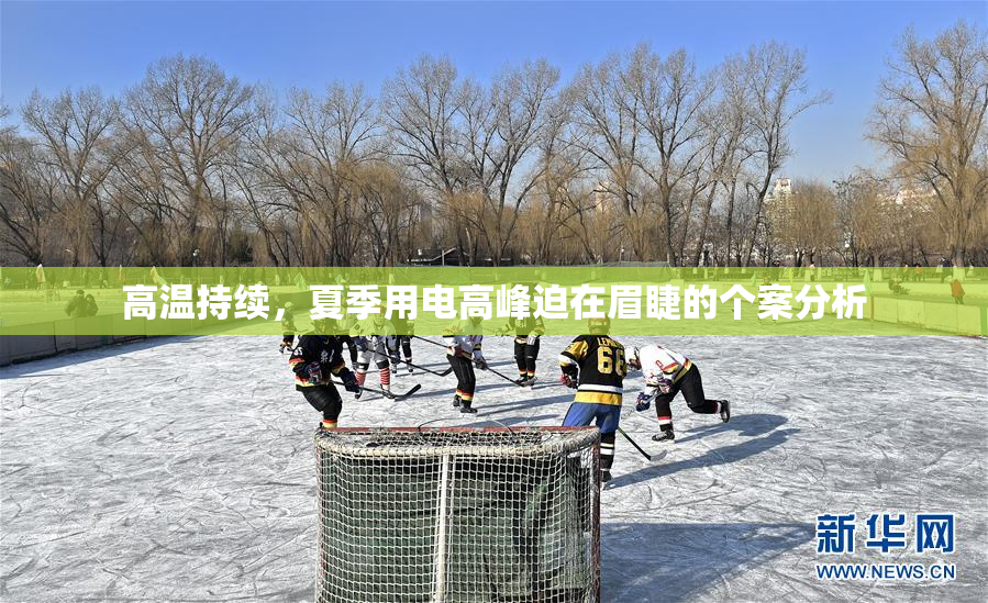 高温持续，夏季用电高峰迫在眉睫的个案分析