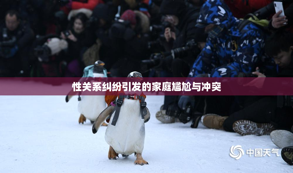 性关系纠纷引发的家庭尴尬与冲突