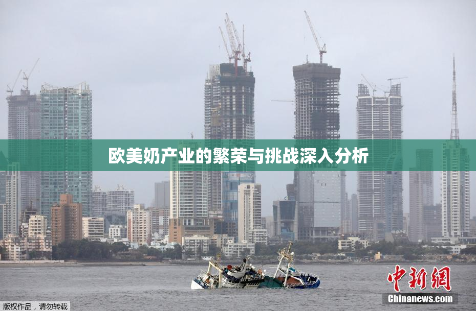 欧美奶产业的繁荣与挑战深入分析