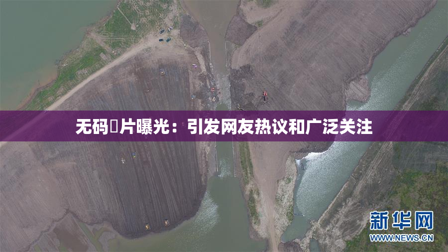 无码婬片曝光：引发网友热议和广泛关注