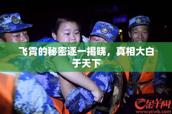 飞霄的秘密逐一揭晓，真相大白于天下