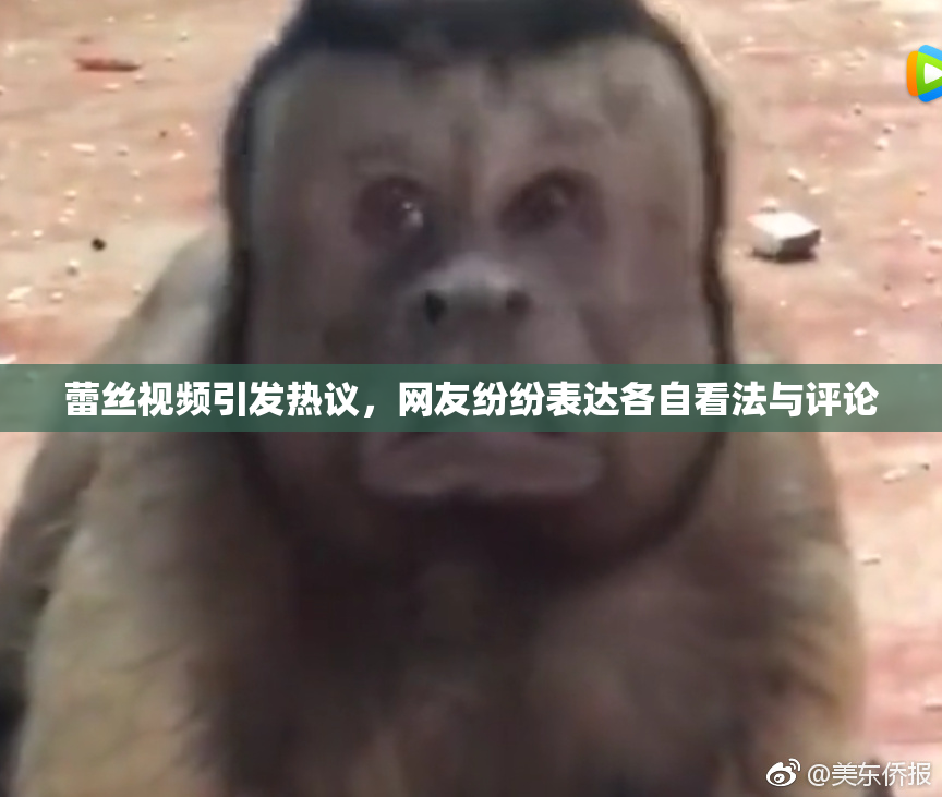 蕾丝视频引发热议，网友纷纷表达各自看法与评论