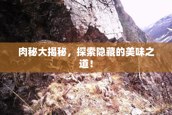 肉秘大揭秘，探索隐藏的美味之道！