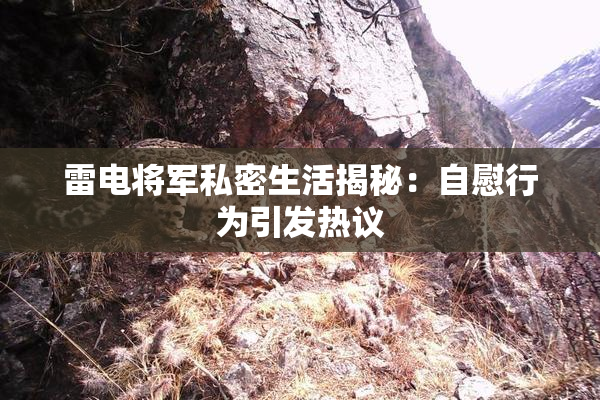雷电将军私密生活揭秘：自慰行为引发热议