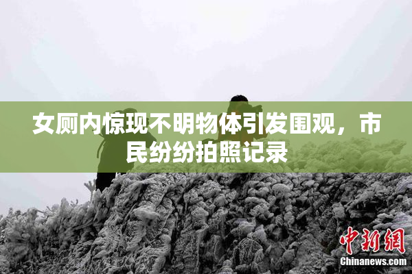女厕内惊现不明物体引发围观，市民纷纷拍照记录