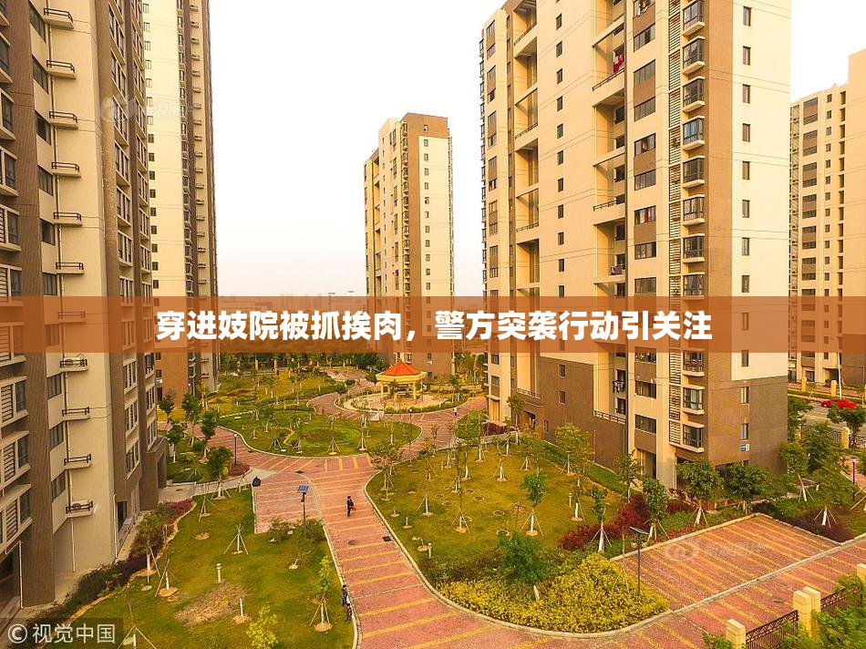 穿进妓院被抓挨肉，警方突袭行动引关注
