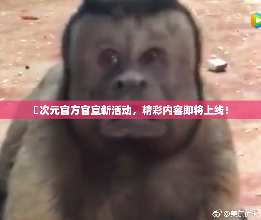 囧次元官方官宣新活动，精彩内容即将上线！