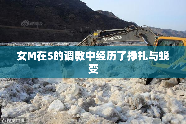 女M在S的调教中经历了挣扎与蜕变