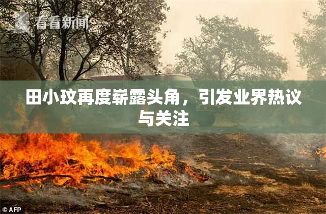 田小玟再度崭露头角，引发业界热议与关注
