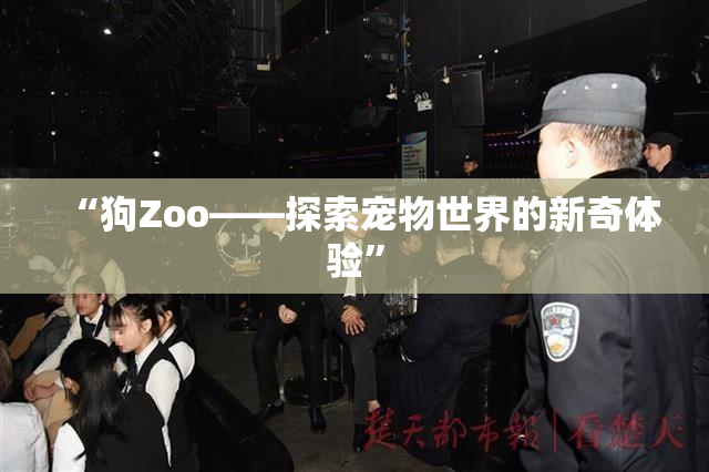 “狗Zoo——探索宠物世界的新奇体验”
