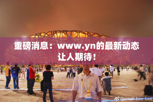 重磅消息：www.yn的最新动态让人期待！