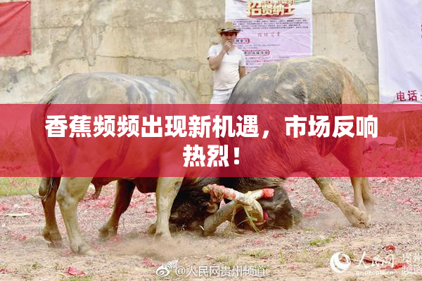 香蕉频频出现新机遇，市场反响热烈！