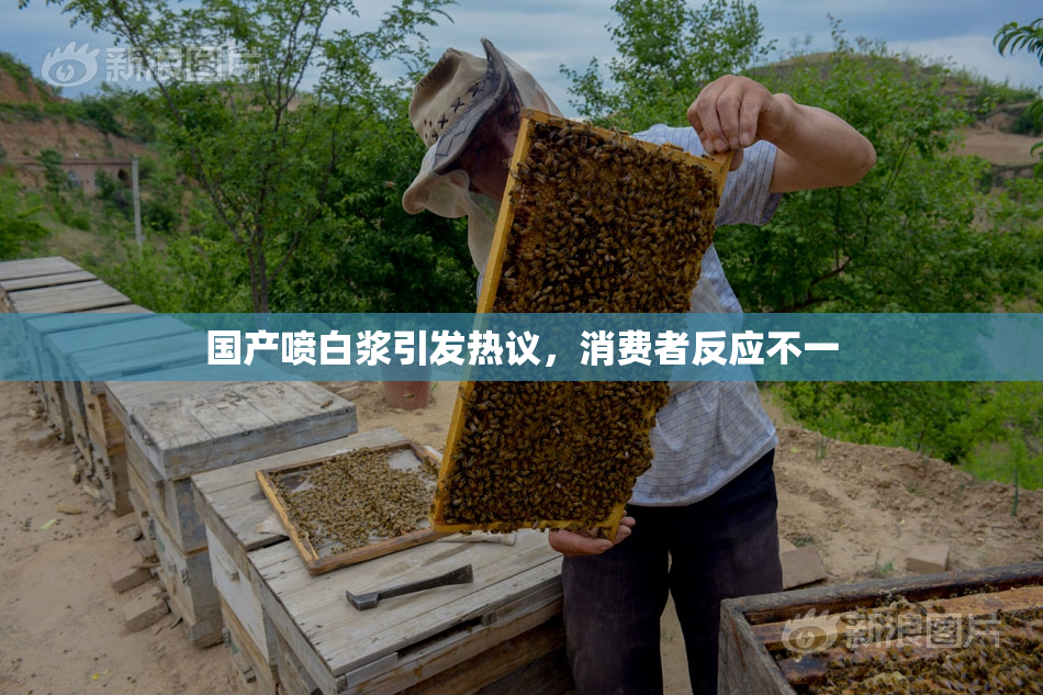 国产喷白浆引发热议，消费者反应不一