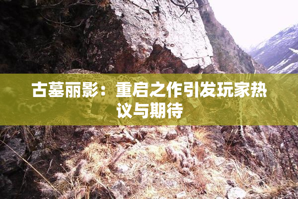 古墓丽影：重启之作引发玩家热议与期待
