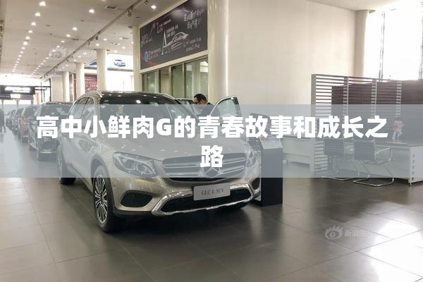 高中小鲜肉G的青春故事和成长之路