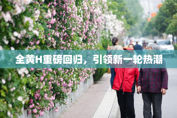 全黄H重磅回归，引领新一轮热潮