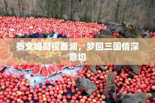 蔡文姬凝视着澜，梦回三国情深意切