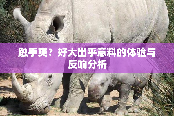 触手爽？好大出乎意料的体验与反响分析