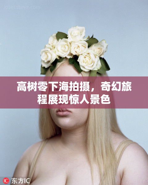 高树零下海拍摄，奇幻旅程展现惊人景色