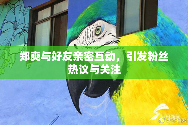 郑爽与好友亲密互动，引发粉丝热议与关注