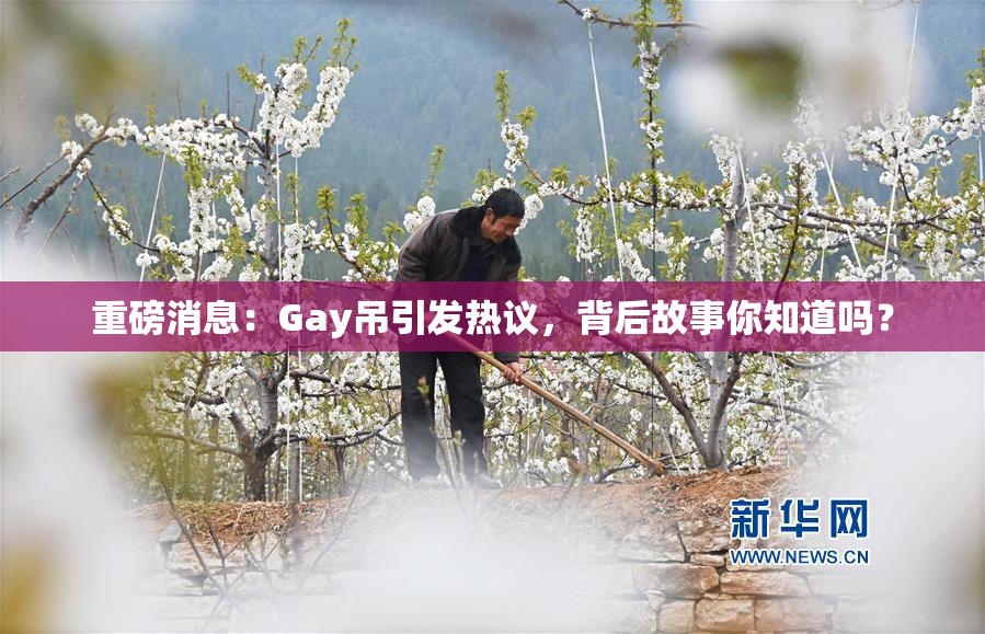 重磅消息：Gay吊引发热议，背后故事你知道吗？