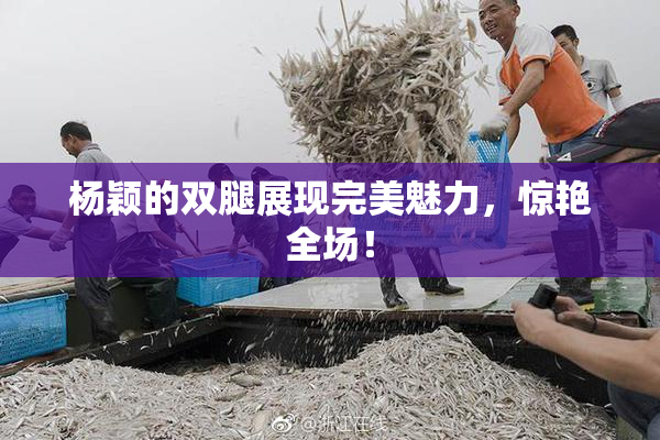 杨颖的双腿展现完美魅力，惊艳全场！