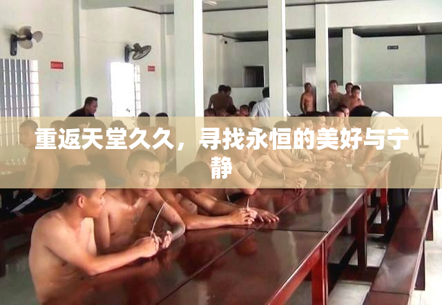 重返天堂久久，寻找永恒的美好与宁静