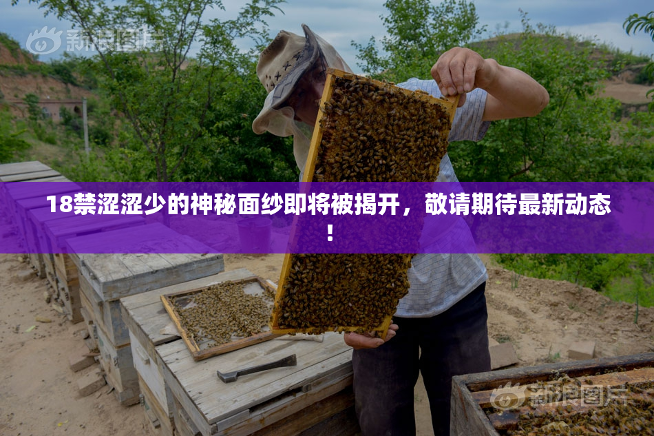 18禁涩涩少的神秘面纱即将被揭开，敬请期待最新动态！