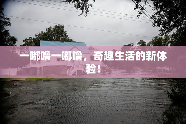 一嘟噜一嘟噜，奇趣生活的新体验！