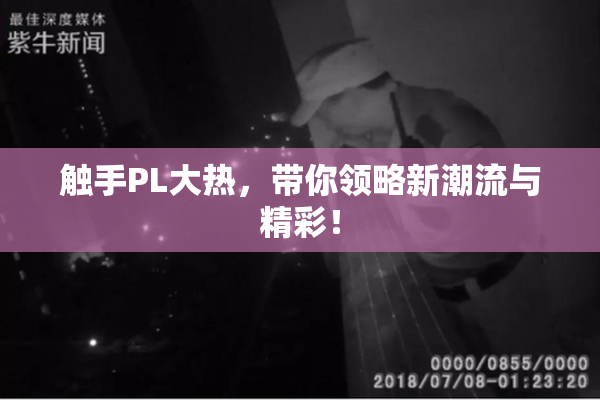 触手PL大热，带你领略新潮流与精彩！