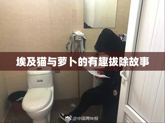 埃及猫与萝卜的有趣拔除故事