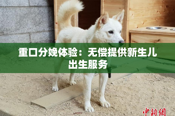 重口分娩体验：无偿提供新生儿出生服务