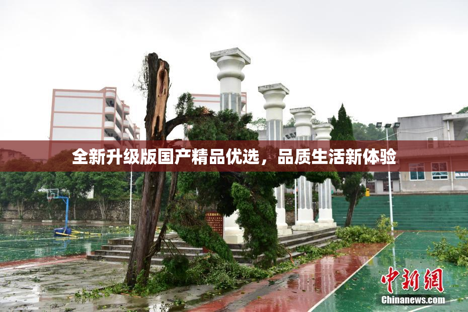 全新升级版国产精品优选，品质生活新体验