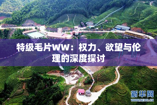 特级毛片WW：权力、欲望与伦理的深度探讨