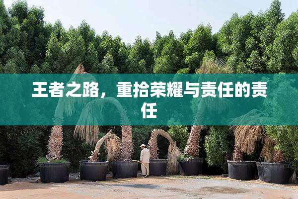 王者之路，重拾荣耀与责任的责任