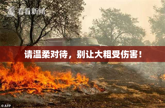 请温柔对待，别让大粗受伤害！