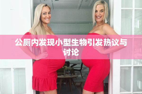 公厕内发现小型生物引发热议与讨论