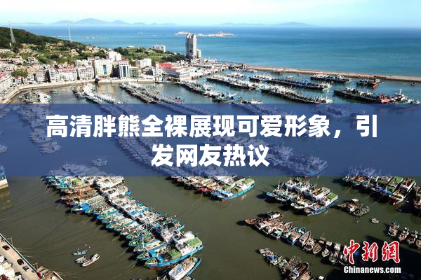高清胖熊全裸展现可爱形象，引发网友热议