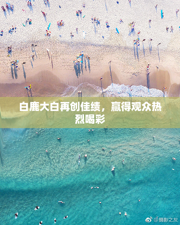 白鹿大白再创佳绩，赢得观众热烈喝彩