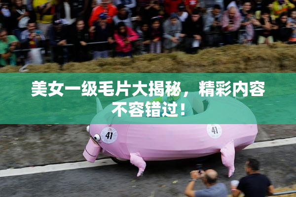 美女一级毛片大揭秘，精彩内容不容错过！