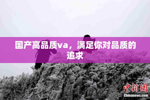 国产高品质va，满足你对品质的追求