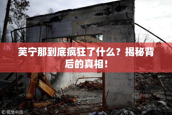 芙宁那到底疯狂了什么？揭秘背后的真相！