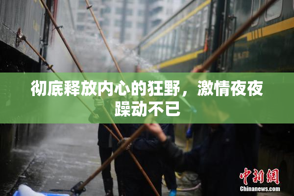 彻底释放内心的狂野，激情夜夜躁动不已