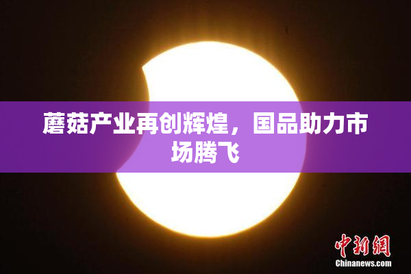 蘑菇产业再创辉煌，国品助力市场腾飞
