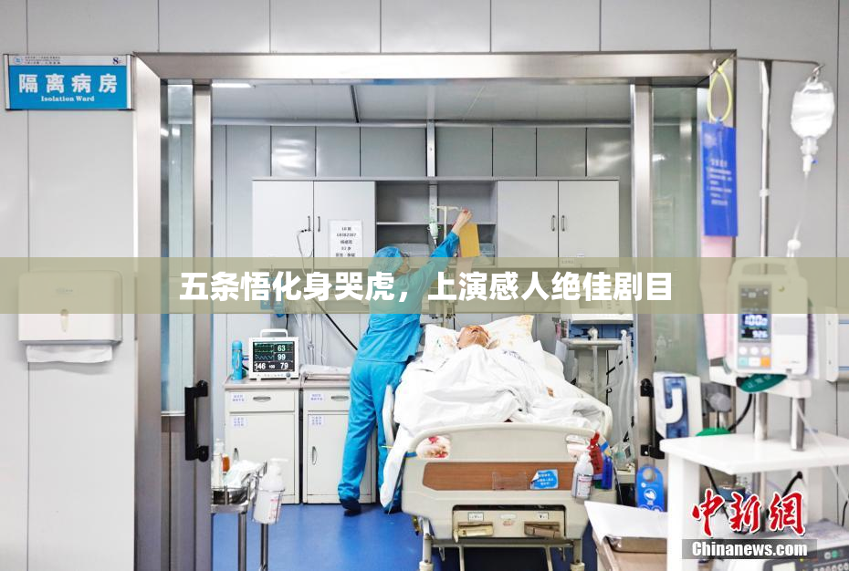 五条悟化身哭虎，上演感人绝佳剧目