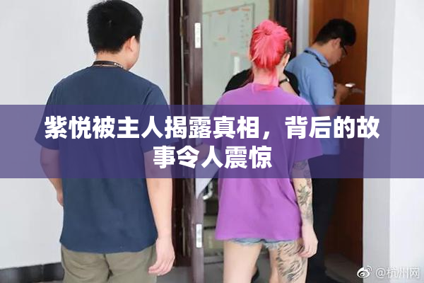 紫悦被主人揭露真相，背后的故事令人震惊