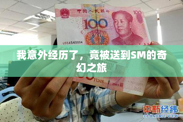 我意外经历了，竟被送到SM的奇幻之旅