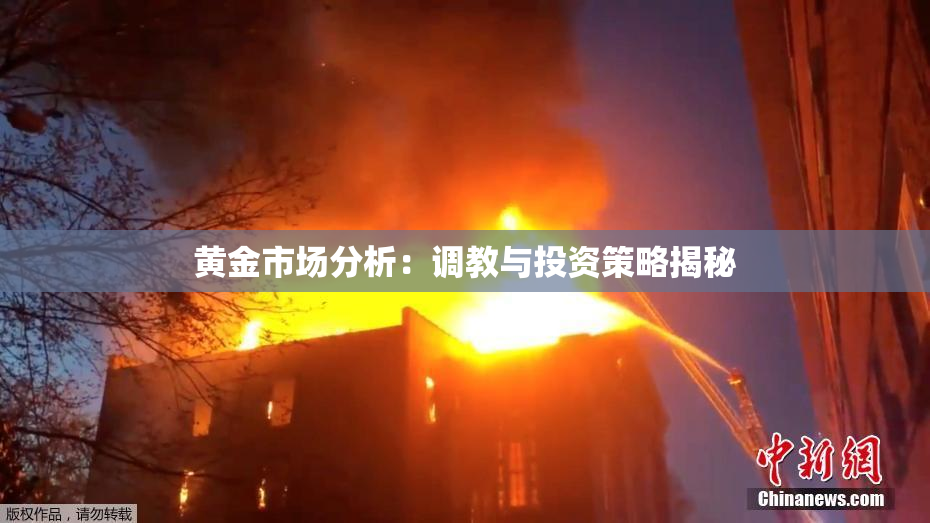 黄金市场分析：调教与投资策略揭秘