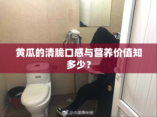 黄瓜的清脆口感与营养价值知多少？